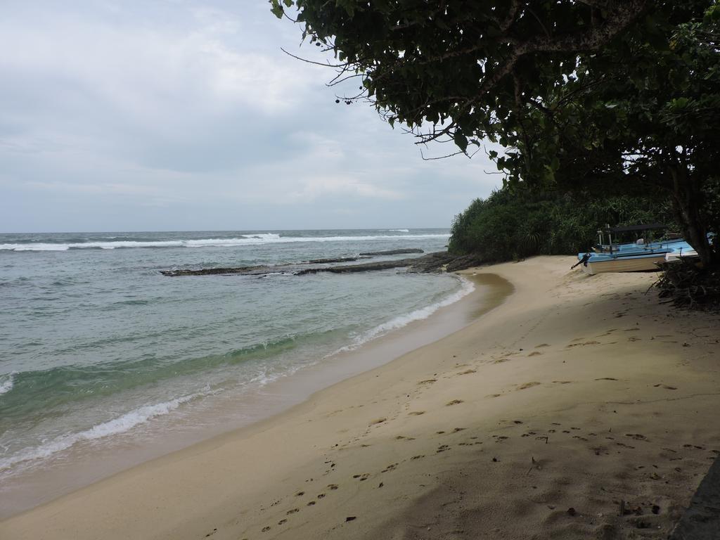 Paradise Beach Resort & Diving School Mirissa Exteriör bild